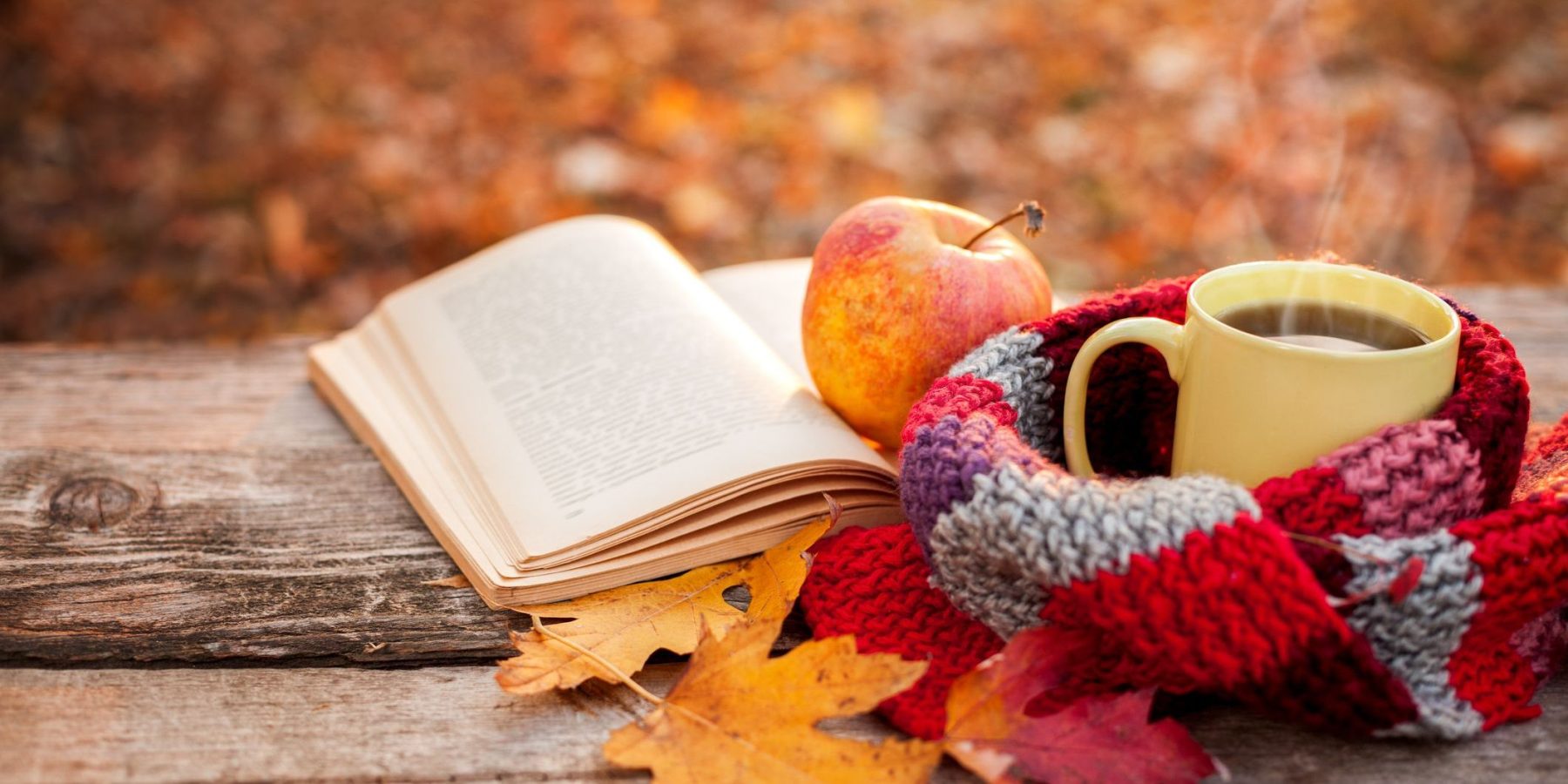 Fall reflection is best with a cup of tea.